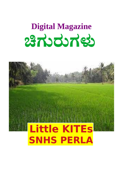 പ്രമാണം:11035-kgd-dm24.png