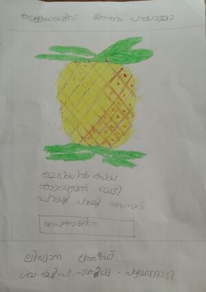 13448-KNR-KUNJ-LISWANA LATHEEF.jpeg