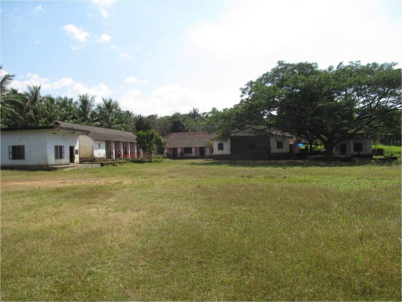 പ്രമാണം:14802 school photo.jpg