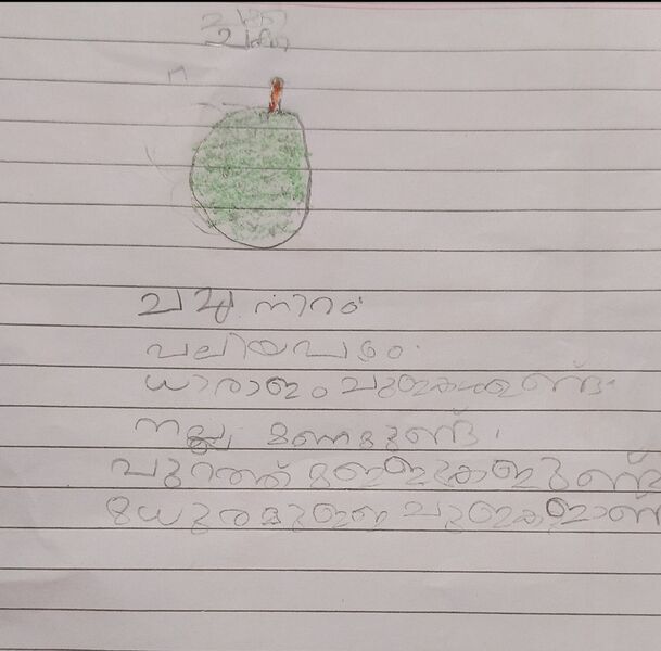 പ്രമാണം:18451-MLP-KUNJ-MIRSHA FATHIMA.jpg