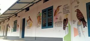 18670 trkaups mikav.jpeg