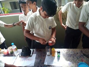 19009-school science fair.jpg