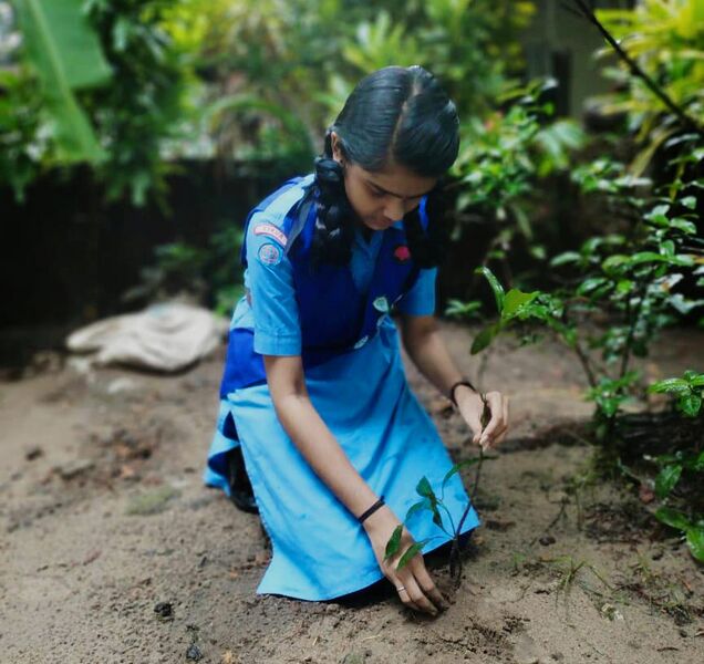 പ്രമാണം:19016ഗൈ‍‍ഡ്സ് 5.jpeg