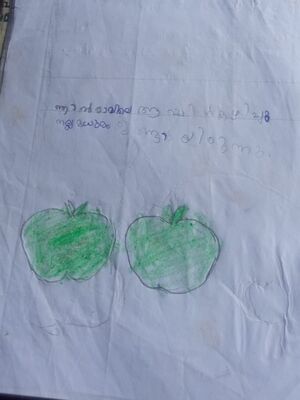 19827-MLP-KUNJ-ATHUL KRISHNAN KP.jpeg