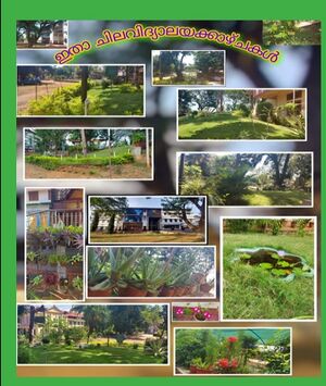 20025-lsn and nature.jpeg