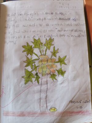 20346-PKD-KUNJ-ADAHV S.jpg