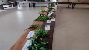 23014 310725oushadasasyapradarshanam.jpg