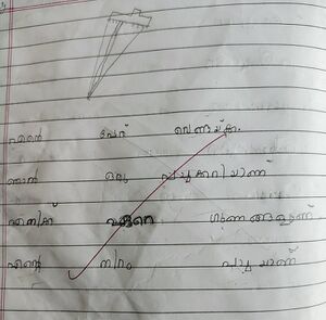 26238-EKM-KUNJ-B MALLIKA.resized.jpg