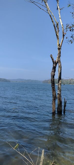 30068 ente gramam mullaperiyar river.jpg