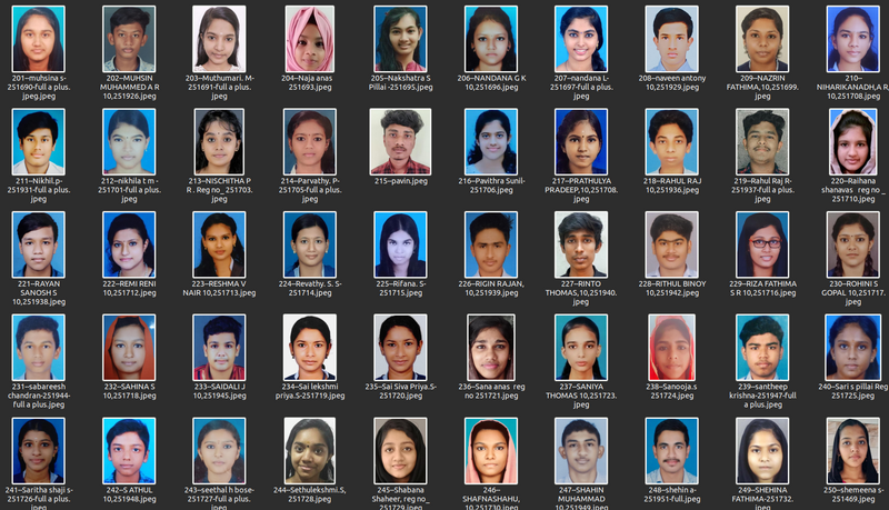 പ്രമാണം:40001 SSLC 2021 05.png