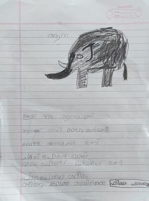 41243-KLM-KUNJ-Hiba Fathima.jpeg