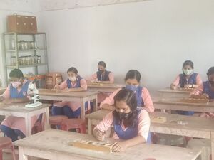 44049 HSS Botany lab.jpg