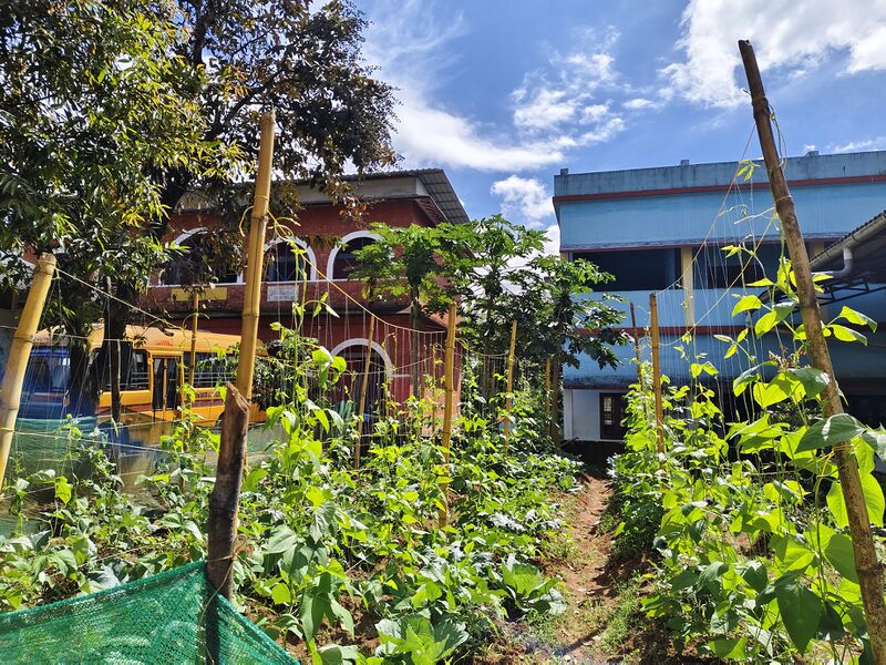 പ്രമാണം:15019-vegetable garden.jpg