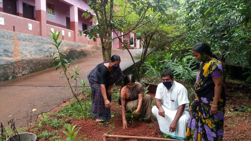 പ്രമാണം:18017-jun5.jpg