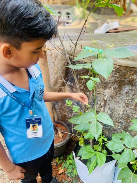 പ്രമാണം:18679 VEG 25-26.jpg