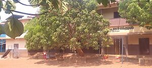 19831 - physique - 18.jpeg