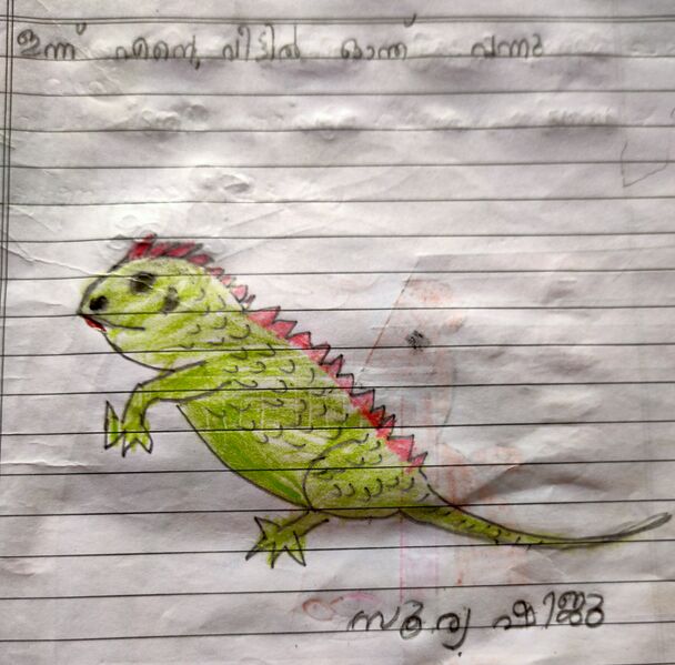 പ്രമാണം:32441-KTM-KUNJ-SURYA SHIJU.jpg