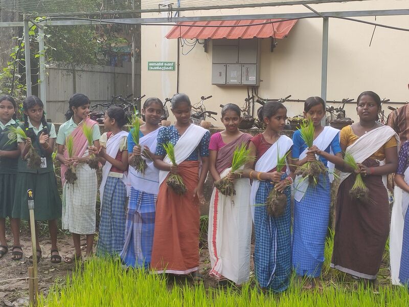 പ്രമാണം:34013seed njarunadal 4.jpg