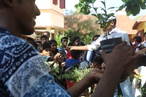 36026 environmentday3.jpg