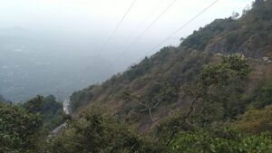 47088-mountain view.jpeg