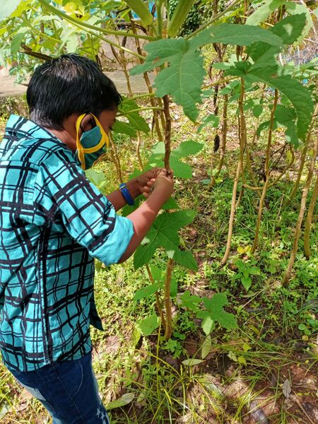 പ്രമാണം:BS21 PTA 37329 1.jpg