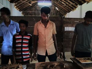 IMG 20170714 155221.jpg