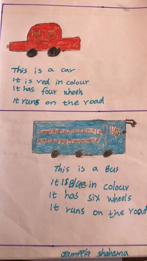 11041-KGD-KUNJ-JAMEELA SHAHMA 1B.jpeg