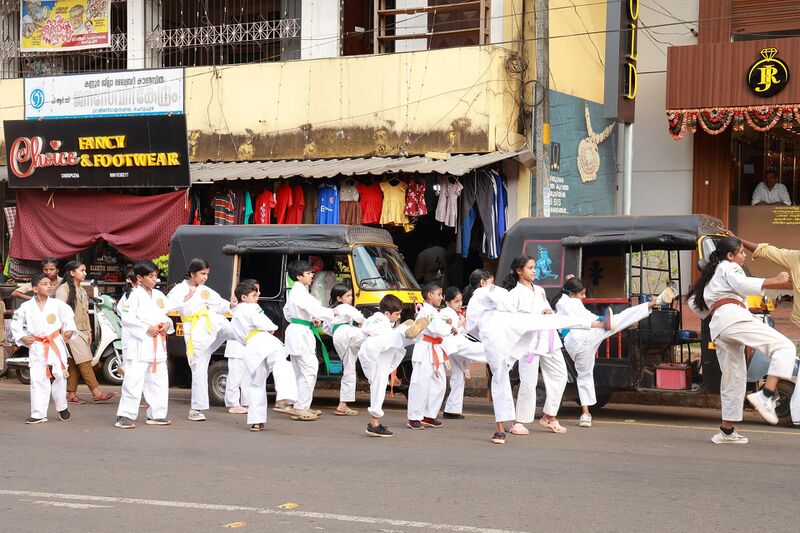 പ്രമാണം:13951 platinum jubilee 08.jpg