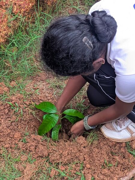 പ്രമാണം:14053 Environment Day 1.jpg