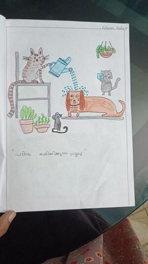 18641-MLP-KUNJ-FARHA 1D.jpeg