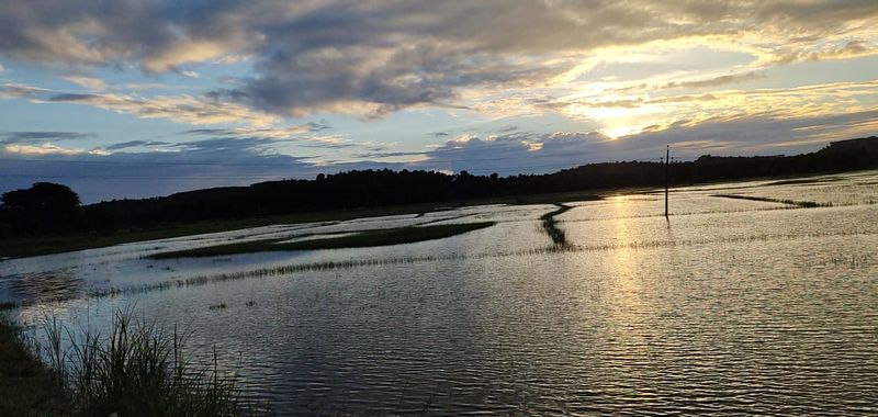 പ്രമാണം:19051 tar31.jpg