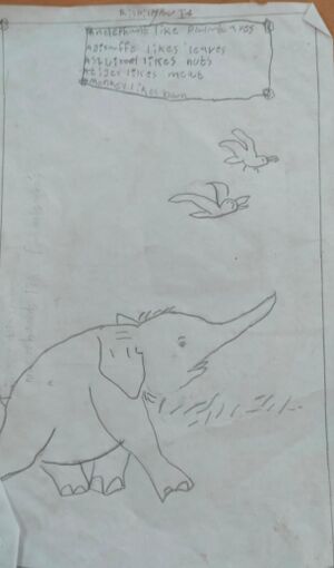 21203-PKD-KUNJ-FARIS .jpeg