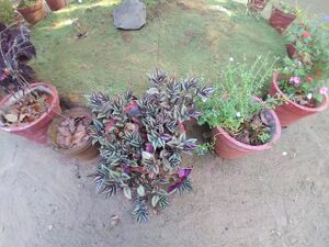 29312 environmentclub6.jpeg