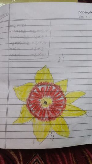 29421-IDK-AKSHAY K R.jpg