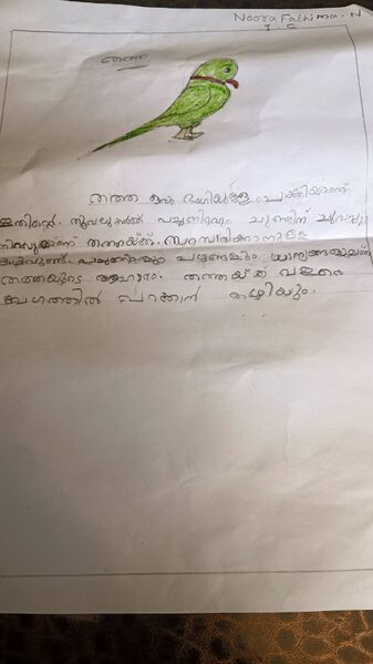 പ്രമാണം:34331-ALP-KUNJ-NOORA FATHIMA.jpg