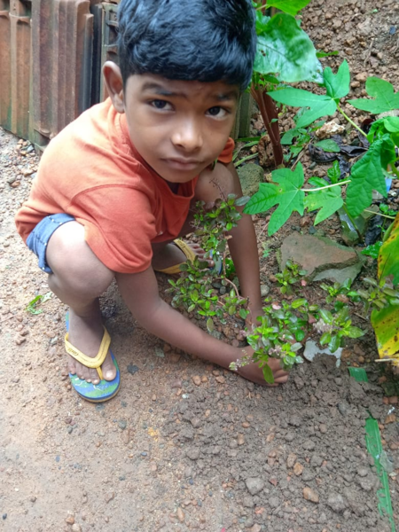 പ്രമാണം:37259 605.png