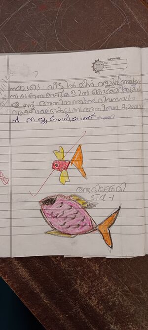 42628-TVM-KUNJ-AADI LEKSHMI.jpg