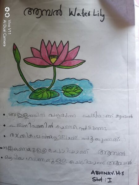പ്രമാണം:43253 TVM KUNJ Abhinav.jpeg