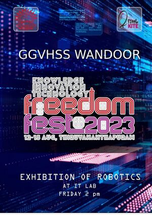 48049 freedom fest.jpg