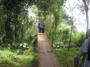 Padanayathra pcghs.JPG