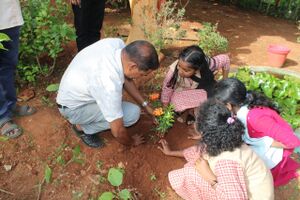 WhatsApp Image 2025-06-11 at 12.28.30.jpeg