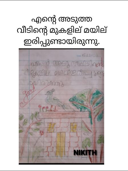 പ്രമാണം:11041-kgd-kunj-nikith.jpeg