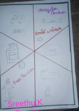 13561-Sreethu K.jpeg