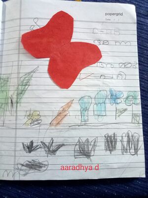 15201-WYD-KUNJ-AARADYA D.jpeg