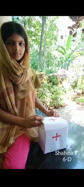 പ്രമാണം:19879 firstaid.jpeg