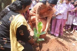 20001 environmentday1.JPG
