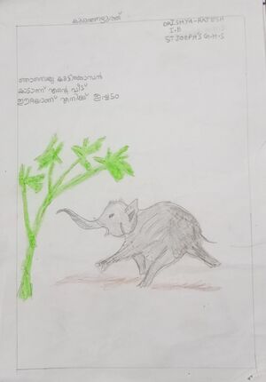 25036-EKM-KUNJ-DHRISHYA RAJESH.jpg