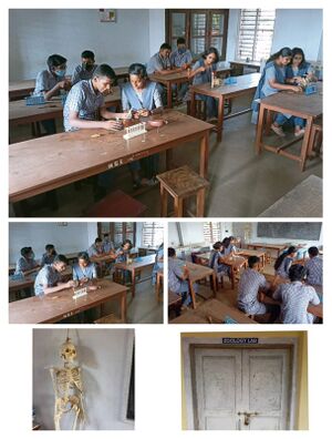 37001 zoology lab.jpeg