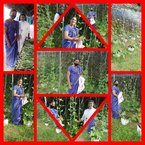 37268 jaivakrishi.jpeg