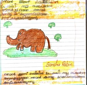 38653-PTA-KUNJ-Sandra Robin.jpeg